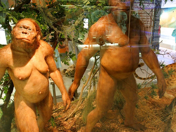 Не знали наши папы, не знали наши мамы.