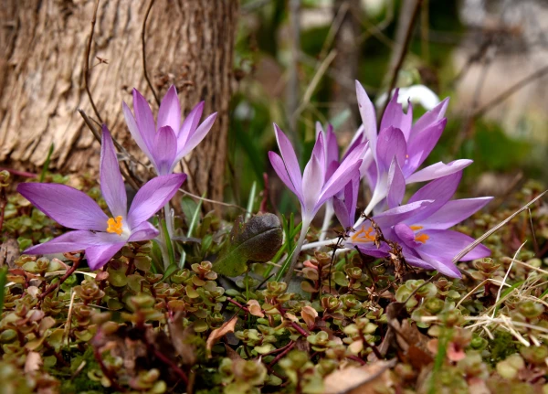 March 8 - a gift from the forecasters