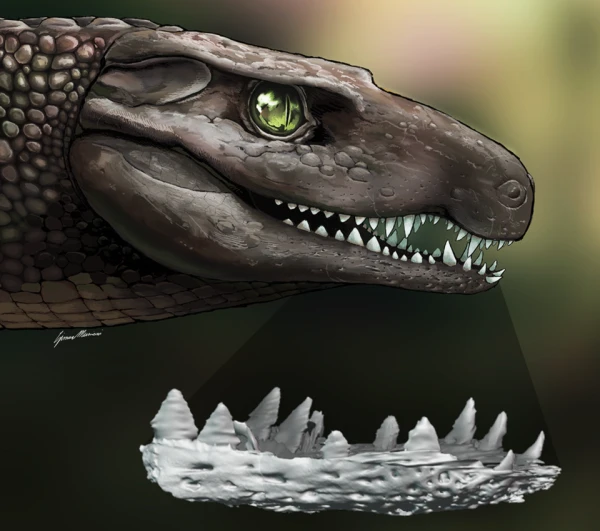 Доратодон был не слишком любезного вида.