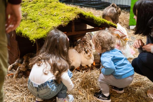 PetExpo 2026 – two days in the world of animals!