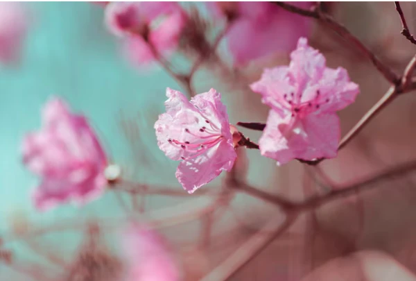 Forecasters Announce Weather for Tuesday in Latvia