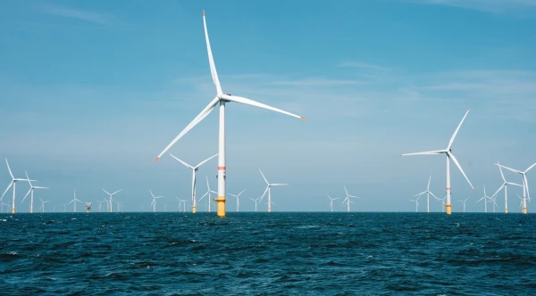 Against the Wind: Why Residents of Latvia Oppose Free Electricity