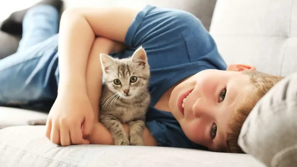 A Kitten for a Child Is Not Always a Good Idea: What a New Study Revealed