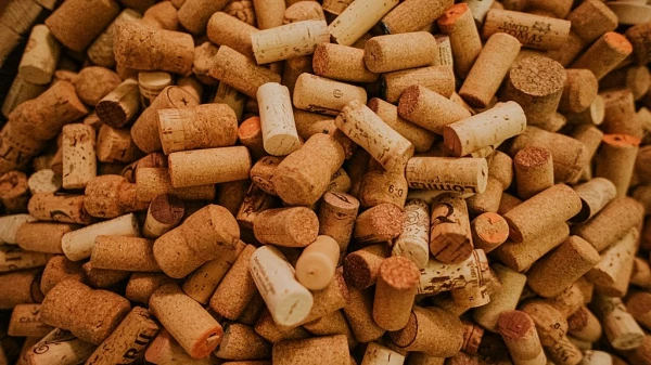 The Portuguese Suspect Something: Their Exports to Kyrgyzstan Have Increased Significantly