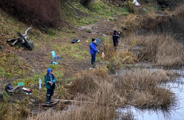 Берега реки Салацы влекут рыболовов.