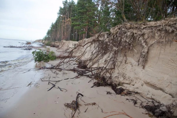 Good News and Bad News - Meteorologist on the Weather in Latvia in Spring and Summer