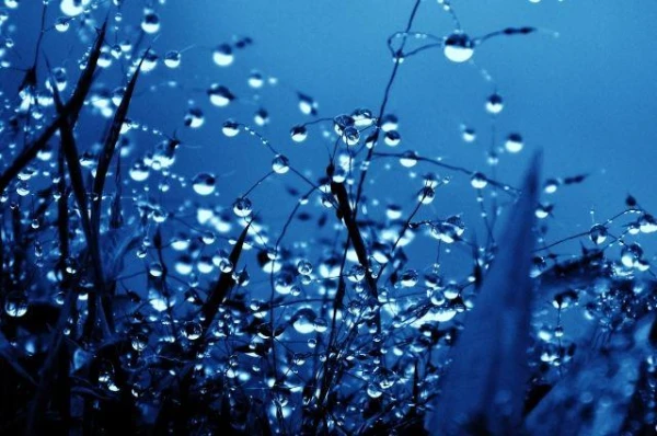 How to Interpret Humidity Indicators in Weather Forecasts?