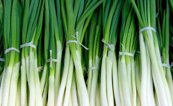 Green Onion: Its Health Benefits and Contraindications