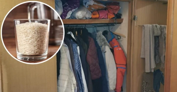 Getting Rid of Musty Odor in the Closet: Household Remedies Will Save Your Wardrobe
