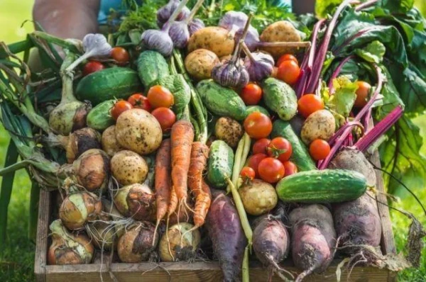 No Need to Dig. Top 5 Crops for a 'Lazy' Garden