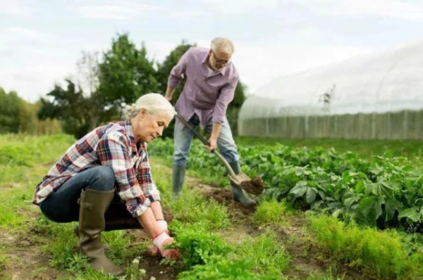 How long can you garden without harming your health?