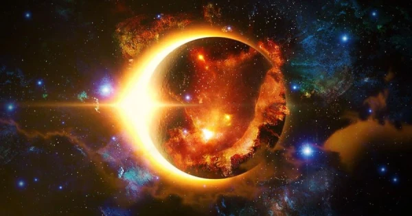 The Reaction of Dogs and Cats to a Solar Eclipse