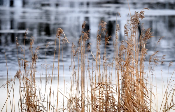 Meteorologists have provided the weather forecast for Sunday in Latvia