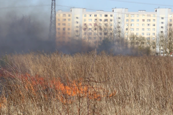 Fire Spreads Again Across the Fields of Latvia: 55 Fires in Three Days