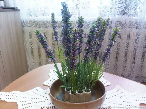 How to Improve Air Quality in Your Apartment with Plants