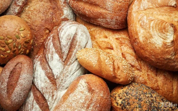 What is Healthier in Bread: Crust or Crumb?