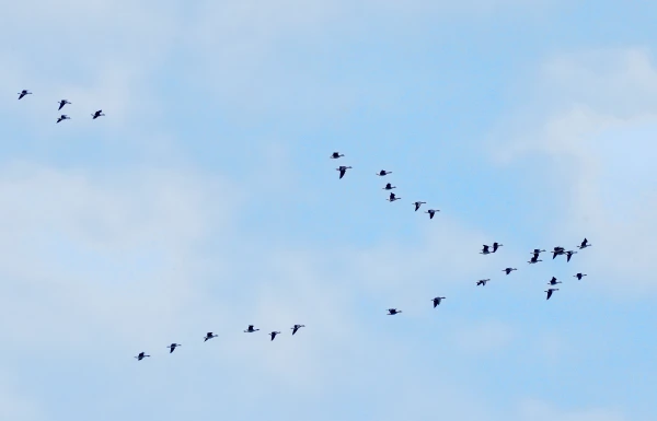 On Tuesday, the weather is determined by an area of high pressure