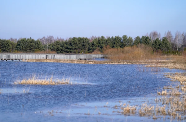 Water levels in rivers are mainly decreasing