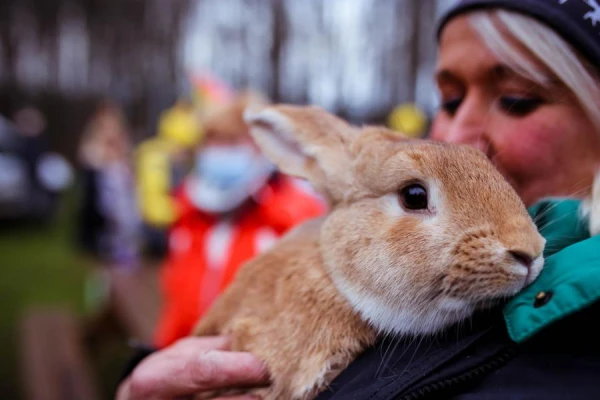 13 people, a rabbit, and a dog rescued from fires