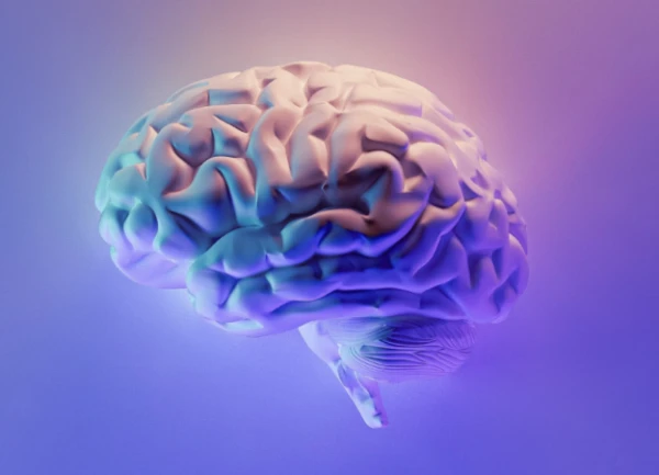 An Unobvious Reason for Deteriorating Brain Function Revealed