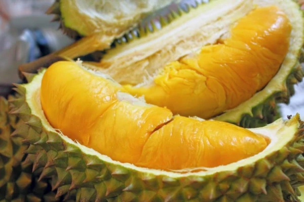 Tropical Exoticism with a Smell of Rot: What Kind of Fruit is This?