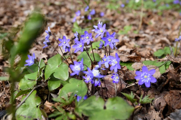 After a rainy week, will the weather be pleasant on the weekend?