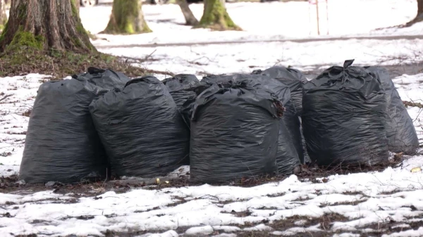 Paying for Leaf Removal in Winter? Riga Residents Surprised by New Utility Bills
