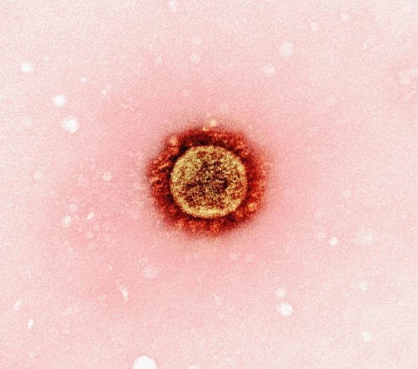 The first outbreak of measles since 2018 registered in Latvia