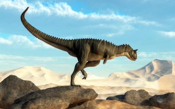 Which dinosaur is considered the rarest?
