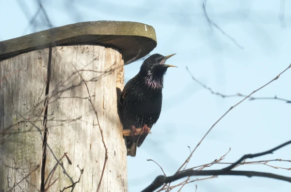 The influence of the anticyclone is weakening, an atmospheric front is approaching from the northwest