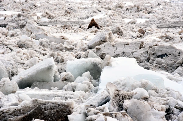 An Ice Jam Remains in Plavinas, the Situation on the Daugava is Calm