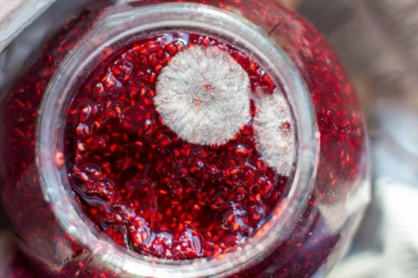 Mold Under the Lid: How Not to Poison Yourself with Homemade Preserves