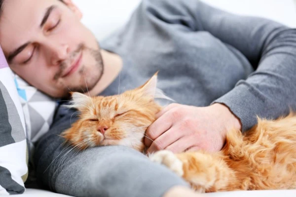 Psychiatrists Advise People with Addictions to Get Pets