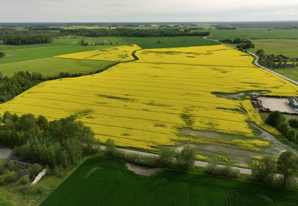 Due to high fuel prices, farmers may reduce their acreage or even go out of business