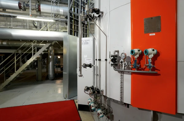 The Era of Cheap Natural Gas is Over. How to Live On?