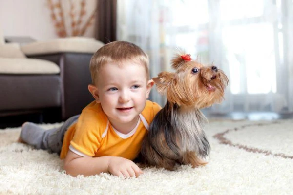 How Communication with Pets Affects Humans?