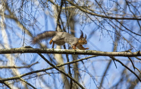 Sunday Weather Expected on Sunday