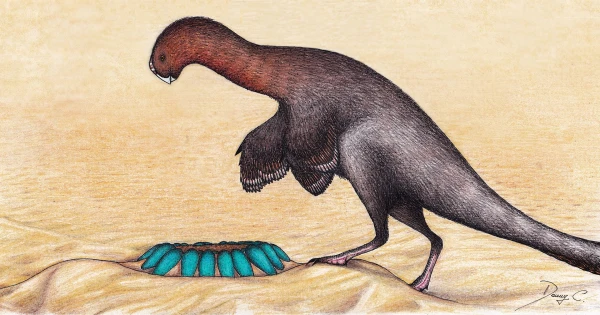 Реконструкция заботливого овираптора.