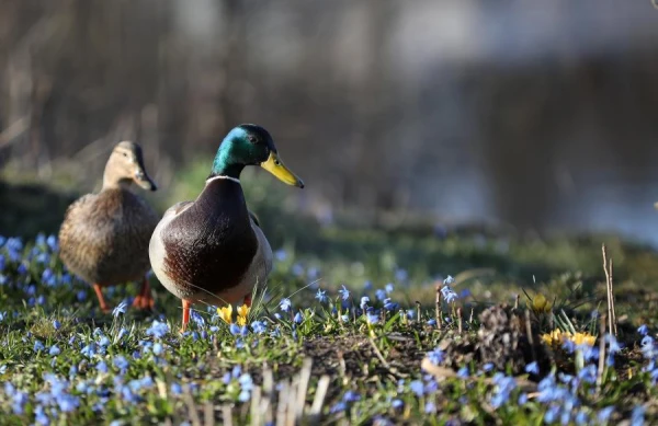 Sunday will be spring-like warm