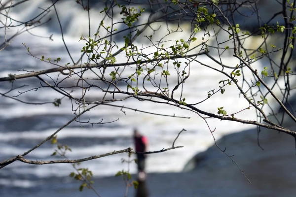 Meteorologists Announce Forecast for the New Week in Latvia