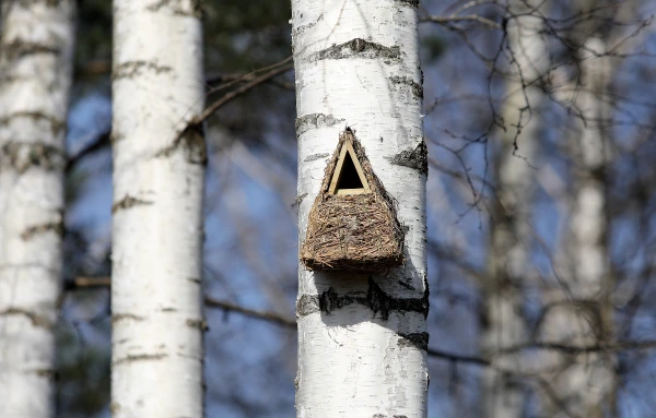 Forecasters Warn of Weather Change This Week