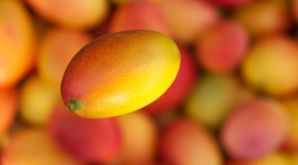 The Multifaceted Benefits of Exotic Fruit Discovered