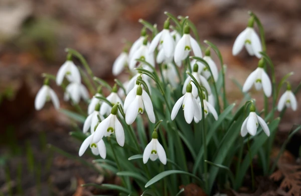 A cyclone is intensifying in Scandinavia. This will also affect the weather in Latvia