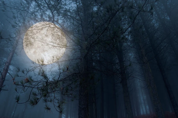 What Not to Do on a Full Moon: Popular Omens and Advice