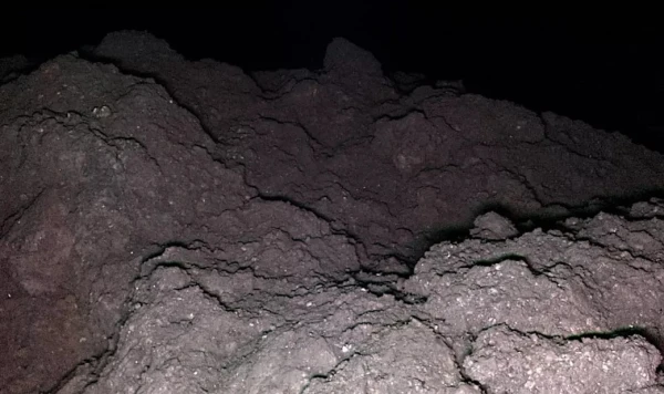 Life Can Indeed Exist on the Asteroid Ryugu