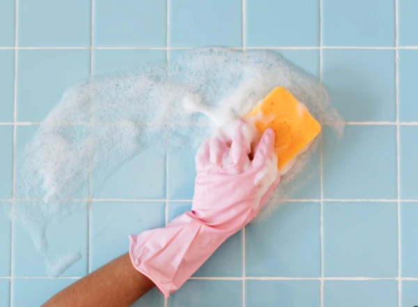 The Way to Fight Dust Mites Revealed