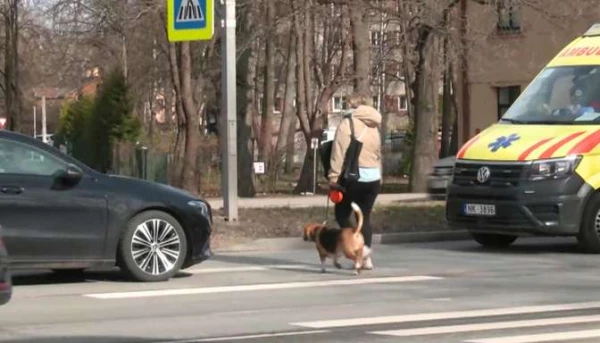 On the Infamous Lielirbes Street, a Car Hit a Woman at a Pedestrian Crossing