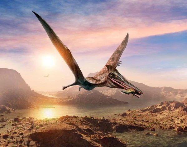 What creatures could have inspired the creation of the mythical bird Roc?