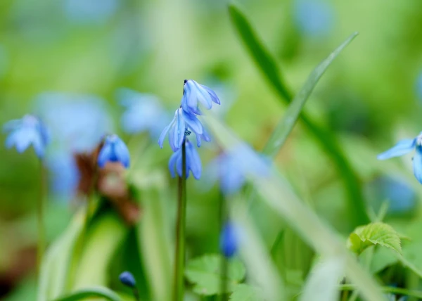 Meteorologists reported on the weather for Sunday in Latvia