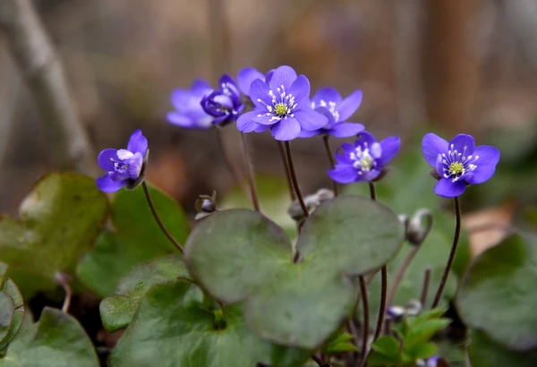 On Monday, the weather is determined by an area of high pressure